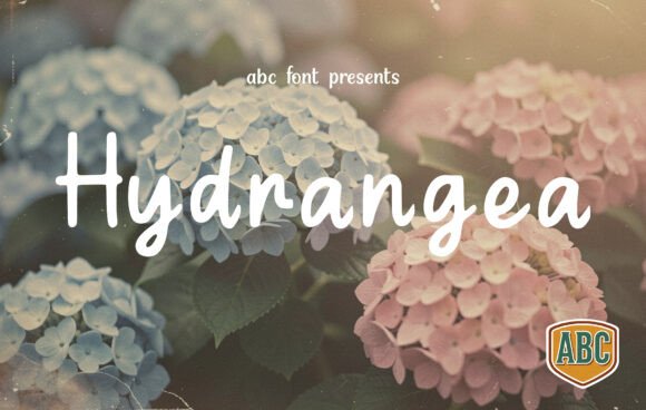Hydrangea Font: Elevating Digital Brand Identity