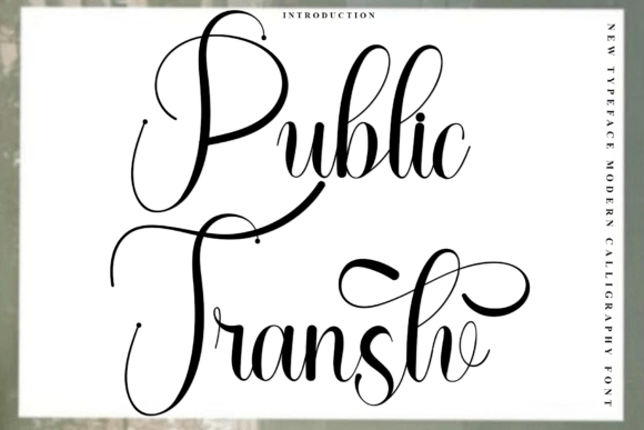 Public Transtv Font: Festive Branding for Small Business