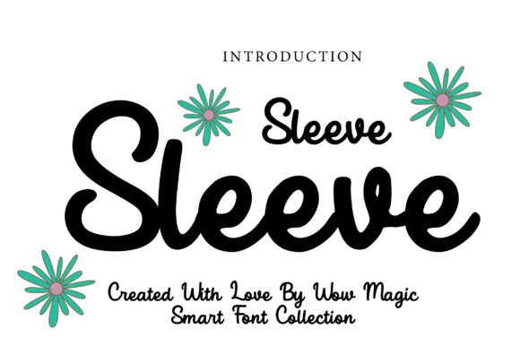 Sleeve Font: Elegant Script for Handmade Products